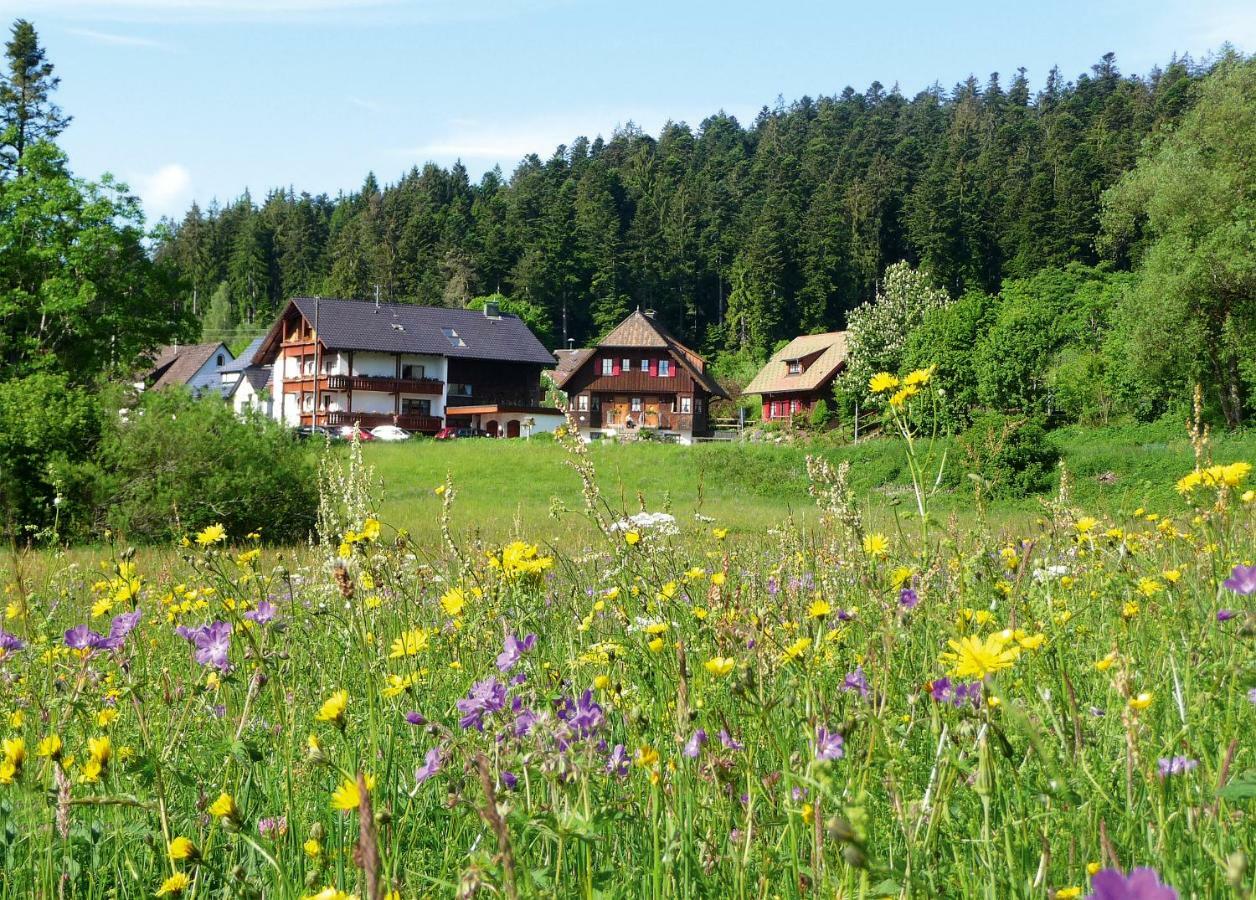 Landhaus Anja Freudenstadt Exterior photo